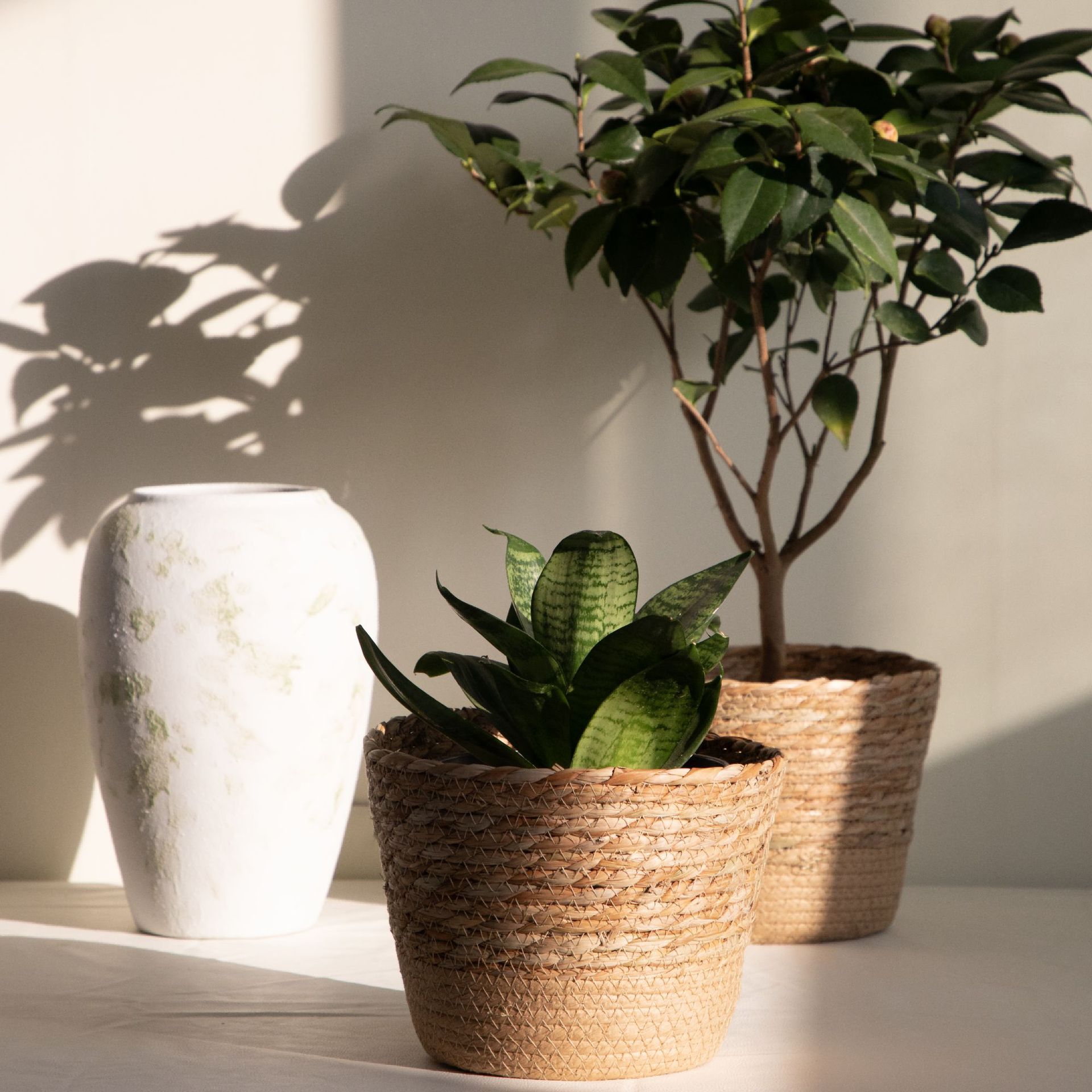 Multi-purpose Woven Storage Ba - огляд і ціна Rattan Plant Basket