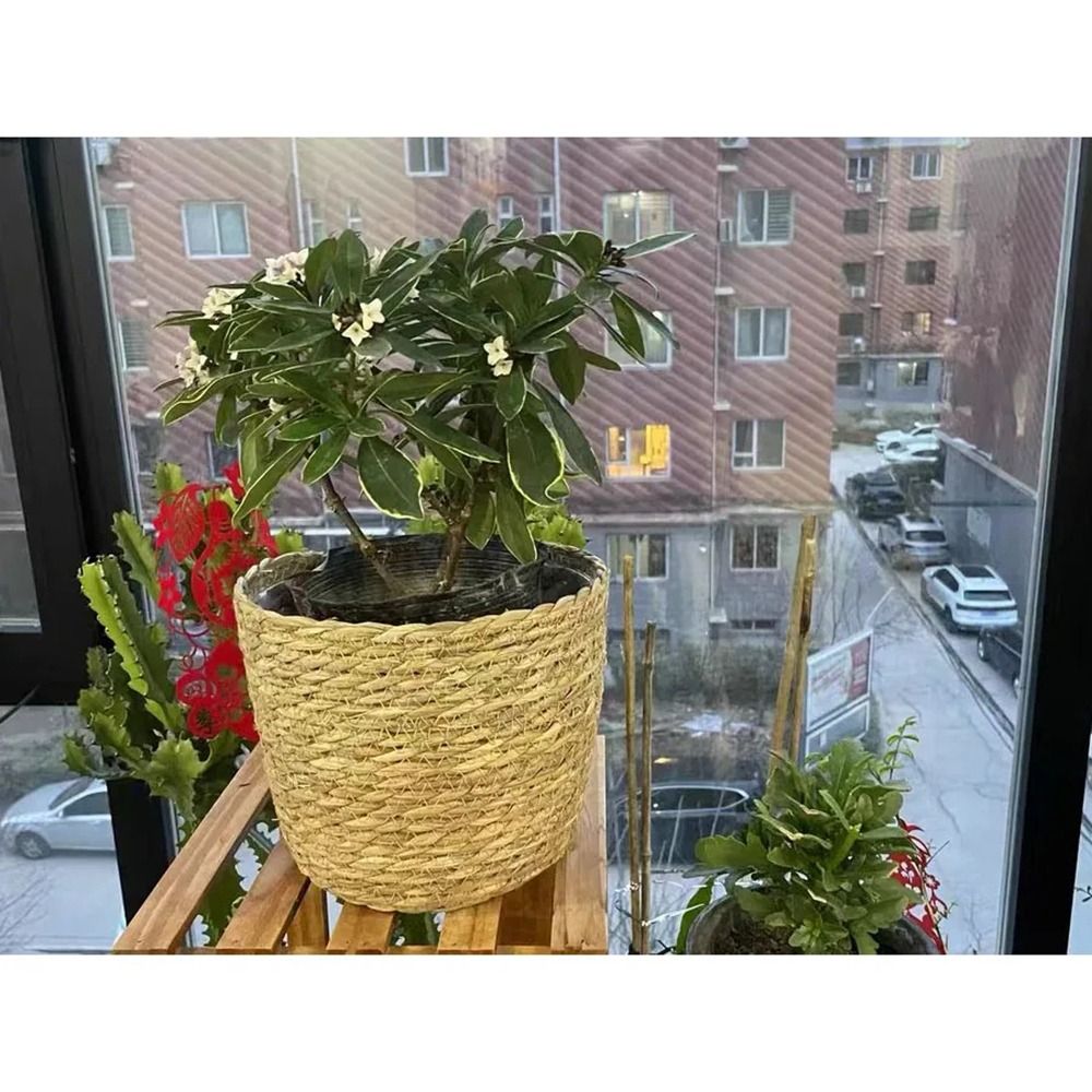 1Pcs For Garden Terraces Flowe - огляд і ціна Rattan Plant Basket